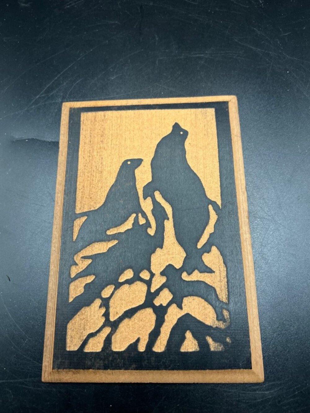 Vintage California Redwood Postcard With Seal Silhouette Unique Deadstock NOS